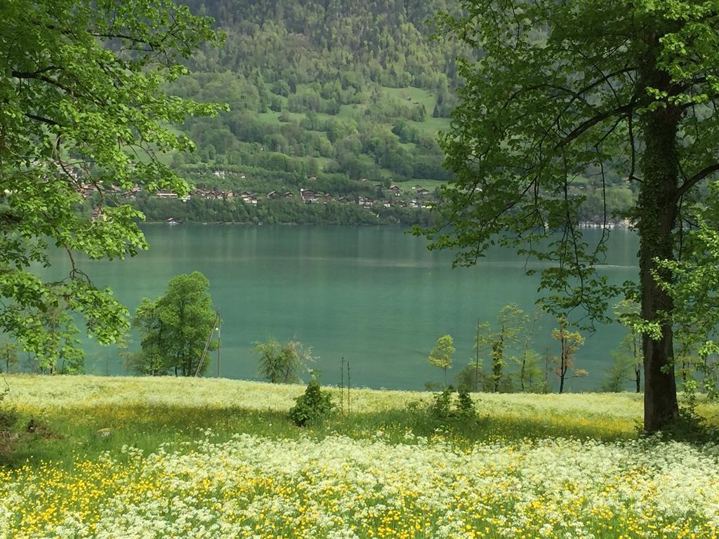Sam & Cindy Muehlemann Lägenhet Interlaken Exteriör bild