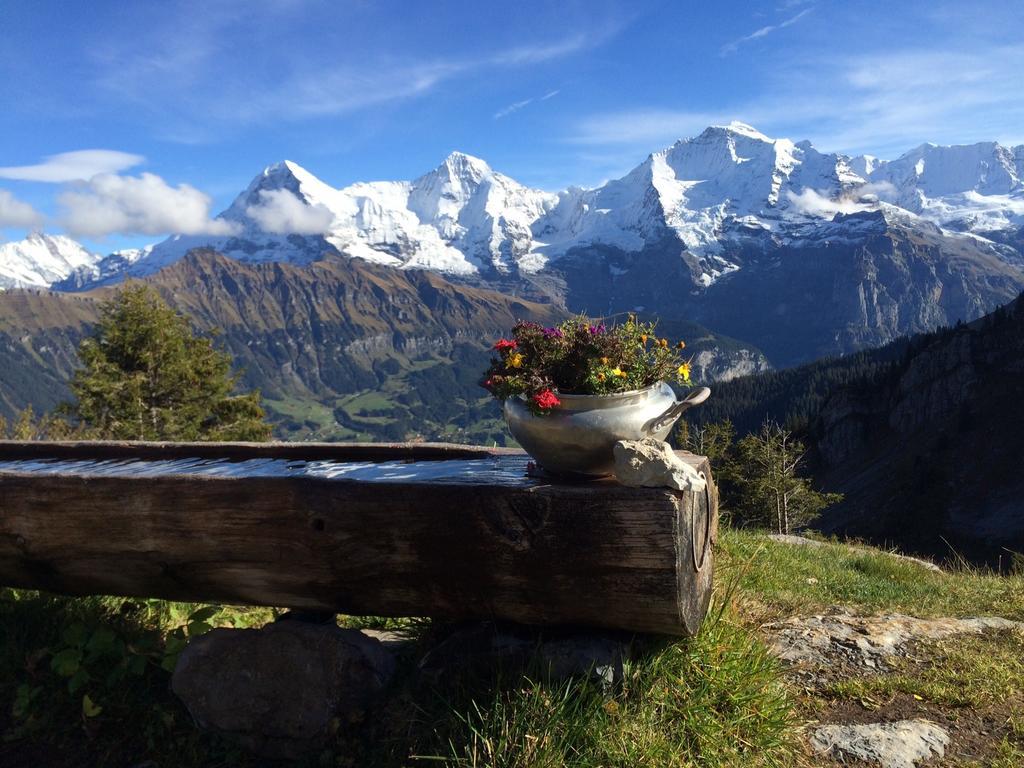 Sam & Cindy Muehlemann Lägenhet Interlaken Exteriör bild