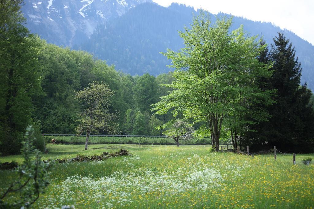 Sam & Cindy Muehlemann Lägenhet Interlaken Exteriör bild